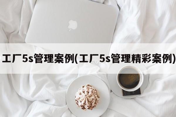 工厂5s管理案例(工厂5s管理精彩案例)